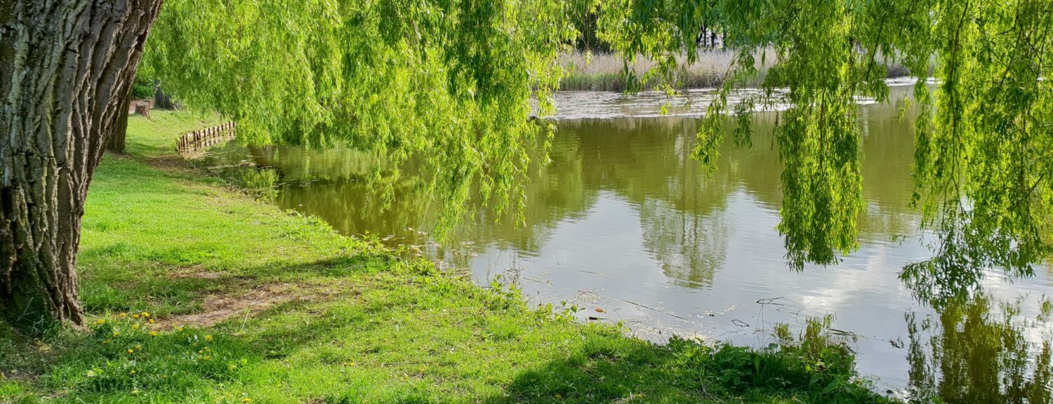 Blick auf den Lichtenrader Dorfteich